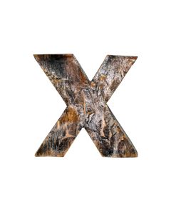 Wooden Alphabet-X