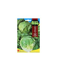 Lettuce - Seeds