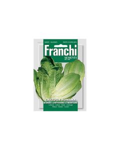 FR Lettuce Seeds