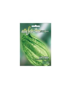 Lettuce Bionda Ortolani Seeds