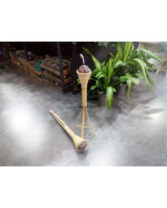 Bamboo Torch Natural - Height 80cm Sold per piece