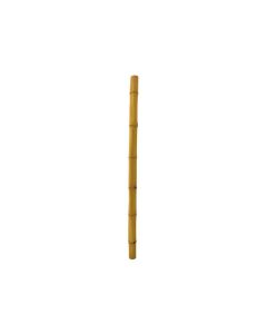 Plant Stakes - Bamboo Cane 5 Ft 20/22mm - Garden Sticks