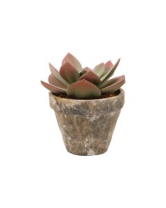 Lotus in Terracotta Pot - Artificial