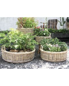 LO Marathi Basket With Handle - XL