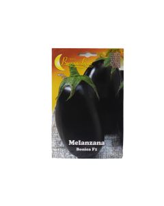 BL Aubergine (Vegetable)