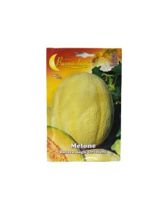 Melon Seeds