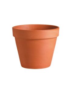 MG Vaso
