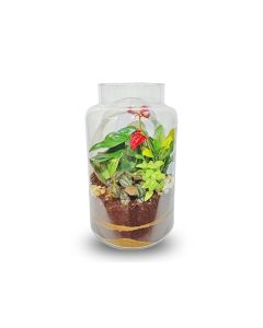 Mixed Plant Open Jar Arrangement - HOF