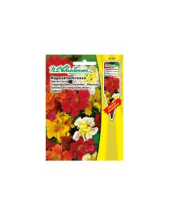 Nasturtium