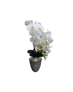 Artificial Faux Phalaenopsis Flower White in Natural Dark Brown Pot