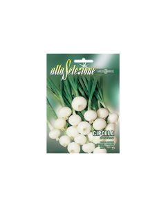 Salad Onion Barletta