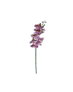 Artificial Phalaenopsis Orchid Pink Stem