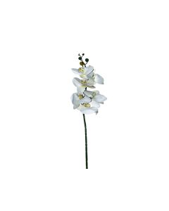 Artificial Phalaenopsis White Stem