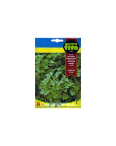 Parsley Giant