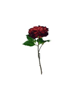 Artificial Peony Burgundy Stem