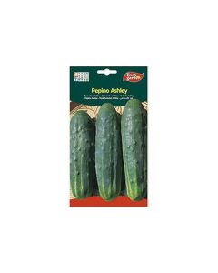 EG Cucumber Ashley Seeds