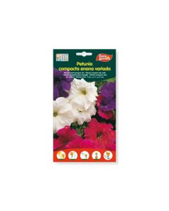 EG Petunia Dwarf compact Mix Seeds
