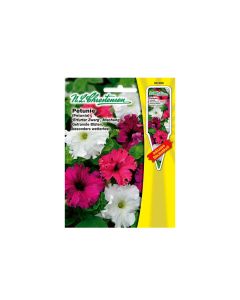 Petunia "Fringed Dwarf" seeds