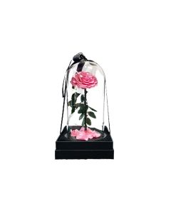 Valentine's Day Special Single Preserved Rose-Pink with Dome