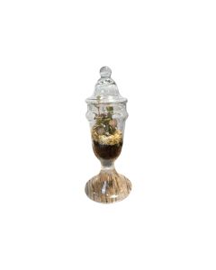 Plant Arrangements - 110