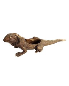 Planter Iguana Polynesian