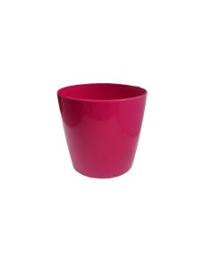 Plastic pot fuchsia