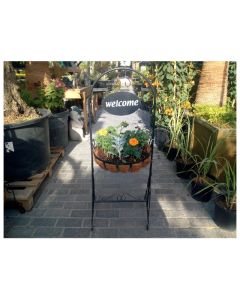 Seasonal Plants in Single Tier Welcome Basket with Stand