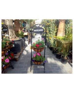 Seasonal Plants in Two Tier Welcome Basket with Stand