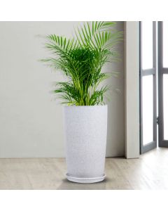 Fancy Plant Pot