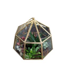 Close Terrarium Plant Arrangement - HOF