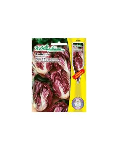 Radicchio seeds
