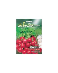 Radish Rapid Red