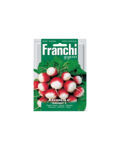 Radish Gaudry