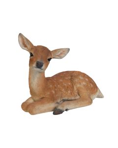 Real Life Laying Fallow Deer Statue