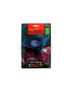 Red Cabbage - Seeds