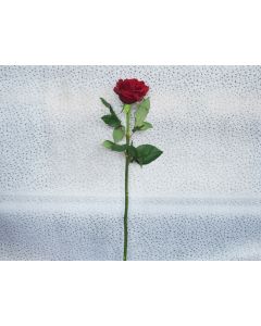 Red Rose - Per Stem