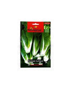 Roman Lettuce - Seed