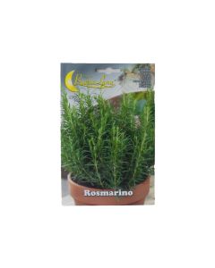 BL Rosemary (Herb) Seeds