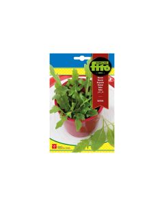 Rocket Sativa