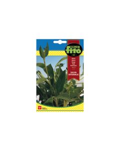 Sage (Salvia Officinalis)