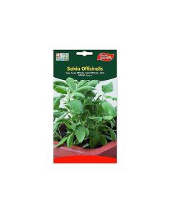 EG Salvia Sage Seeds