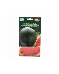 EG Watermelon Sugar Baby