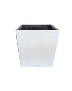 TAI Self Watering Pot