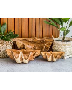 LO Suar Shell Deco Natural - Large