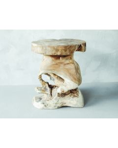 SK Stool Brull Leg Teak Root