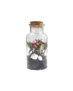 Terrarium Glass Bottle with Cork Small