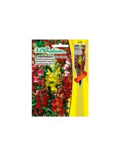 Snapdragon "Monarch of Mischung"