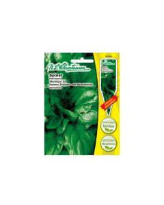 Spinach "Monnopa"