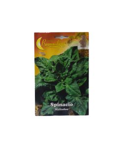 Spinach Seeds
