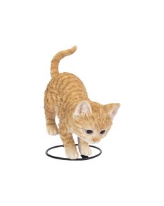 Stalking Playful Kitten - H 23cm